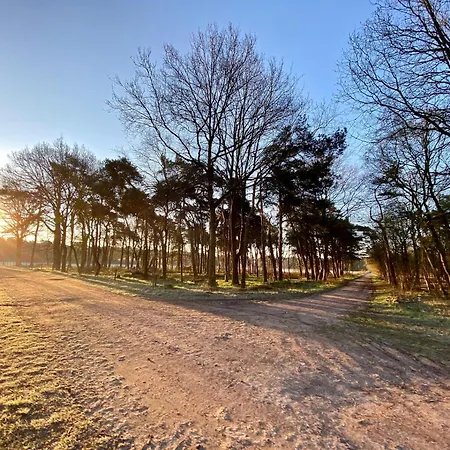 Center Located Alexander * Tilburg