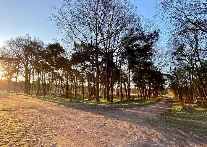 Center Located Alexander * Tilbourg